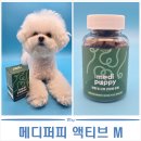 퍼피 | 강아지 관절 근육 영양제 | 메디퍼피 액티브 M 비숑 급여 후기