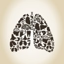 민들레 농장 이미지