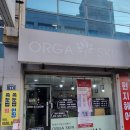 올가스킨 헤어 이미지