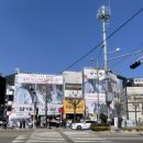 선상상회 | 곳~ 안자네밥상, 여수당, 오동도, 포차거리, 돌문어상회, 갓버터도나스, 내조국국밥, 3미딸기모찌, 여수...