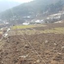 흥산농장 이미지