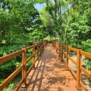 용인자연휴양림 이미지