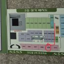 건강샘온누리약국 네이버블로그