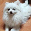 여술근린공원 Daum카페