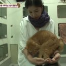 이장원농장 이미지