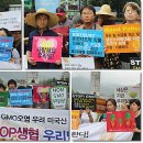 "GMO 안돼!" 우리밀 생산자-소비자 공동 기자회견 이미지