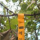 북방1리 경로당 | 왕재지맥 제1구간 소이산에서 용천교까지 산행후기
