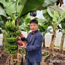 영암군농업기술센터 이미지