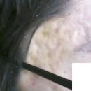 오렌지의원 이미지