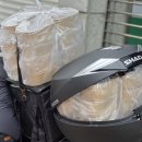 수영로 | 연산동수영센텀시티 근처 단체간식으로 좋은 도란도넛 수영로교회 시나몬,소금빵 단체후기