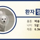 나음동물메디컬센터 이미지