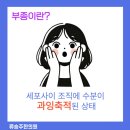노블레스홍인식성형외과의원