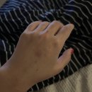 아이파크동물약국 | December 03