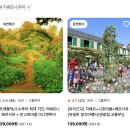 파리 몽생미셸 지베르니 투어 VS 에트르타 :: 당일 코스 총정리 (&amp; 옹플뢰르)