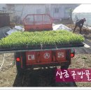 아주1차 이미지