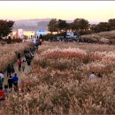 하늘공원 이미지