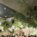 천년뷔페 웨딩홀 | #W5-1. 일산 웨딩홀 투어 후기 / CN천년웨딩홀 밝은홀,어두운 홀 26년 하반기 견적 공유 (계약X)