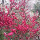 마창대교 밑 이미지