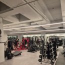 네스트짐 헬스피티 이미지