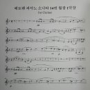 월광컴퓨터 이미지