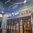 하누둥이