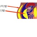 케이메디팜 이미지
