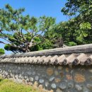 돌담 너머 하늘 이미지