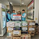 태안나비 이미지