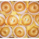 배은농장 이미지