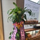 뚜레쥬르 광주수완대방 이미지