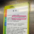 크린브레인
