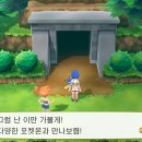 돌산체육관 이미지