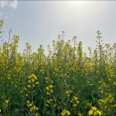 오성2단지 이미지