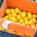 땡큐베리팜 이미지