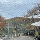 카페두레브 이미지