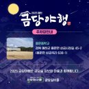 2025 금당야행 이미지