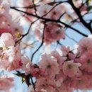 제동 행정사사무소 이미지