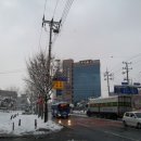 죽도초등학교 이미지