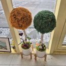 제주과학고등학교 | (2026.01.22~01.25) 3박 4일 겨울 제주도♡:) 브런치 달고래키친, 제주과학고 눈썰매, 산방산 온천 찜질방