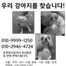 간석3동-3 이미지