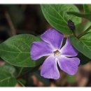 강비뇨기과의원 이미지