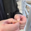 미사리바다해장국 | 강원도 방파제낚시 1박2일여행 고성 봉포항, 속초 청호동 방파제 낚시후기