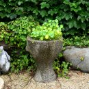 아산사슴 건강의 집 이미지