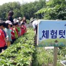 작은콘서트 이미지