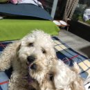 동편동물병원 이미지