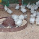 태성농장 이미지