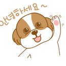 해피애견타운강아지분양서울본점 말티푸 미니비숑프리제 포메 이미지