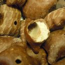 와작와작 이미지