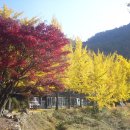 화왕산장
