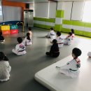 엘리트태권도 이미지